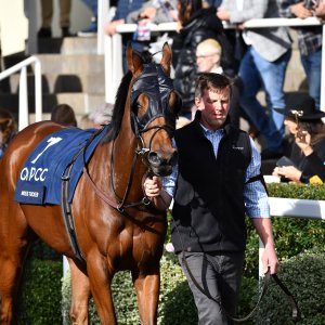 Ascot | QIPCO British Champions | 19/10/24