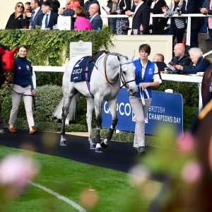 Ascot | QIPCO British Champions | 19/10/24