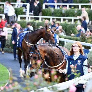 Ascot | QIPCO British Champions | 19/10/24