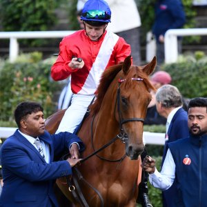 Ascot | QIPCO British Champions | 19/10/24