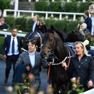 Ascot | QIPCO British Champions | 19/10/24