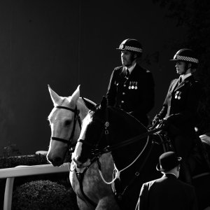 Ascot | QIPCO British Champions | 19/10/24