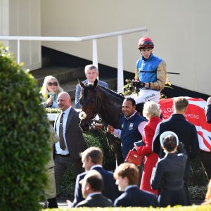 Ascot | QIPCO British Champions | 19/10/24
