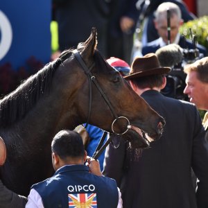 Ascot | QIPCO British Champions | 19/10/24