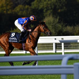 Ascot | QIPCO British Champions | 19/10/24