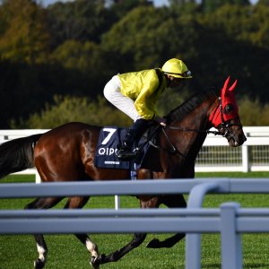 Ascot | QIPCO British Champions | 19/10/24