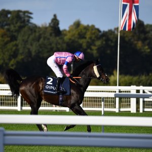 Ascot | QIPCO British Champions | 19/10/24