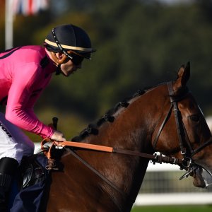 Ascot | QIPCO British Champions | 19/10/24