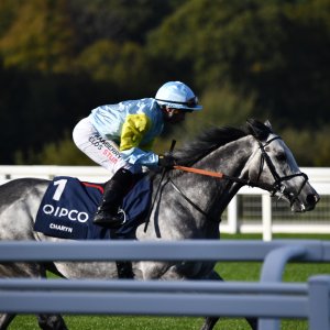 Ascot | QIPCO British Champions | 19/10/24