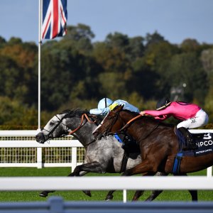 Ascot | QIPCO British Champions | 19/10/24