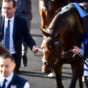 Ascot | QIPCO British Champions | 19/10/24