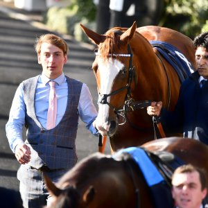 Ascot | QIPCO British Champions | 19/10/24