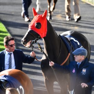 Ascot | QIPCO British Champions | 19/10/24