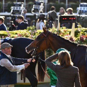 Ascot | QIPCO British Champions | 19/10/24