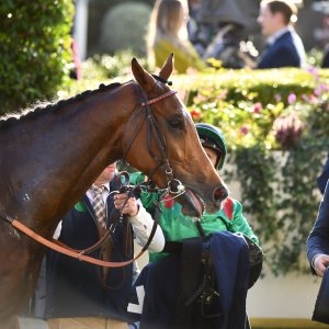 Ascot | QIPCO British Champions | 19/10/24