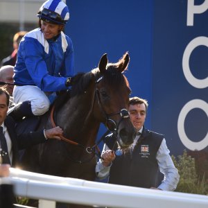 Ascot | QIPCO British Champions | 19/10/24