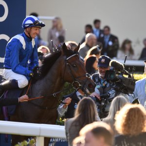 Ascot | QIPCO British Champions | 19/10/24