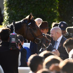 Ascot | QIPCO British Champions | 19/10/24