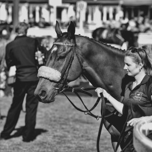 Catterick | Jubille Raceday | 3/6/22