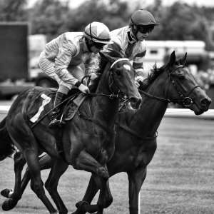 Catterick | Jubille Raceday | 3/6/22