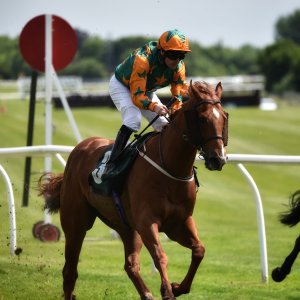 Catterick | Jubille Raceday | 3/6/22