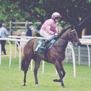 Catterick | Jubille Raceday | 3/6/22