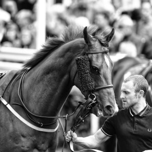 Catterick | Jubille Raceday | 3/6/22