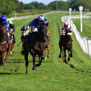 Catterick | Jubille Raceday | 3/6/22