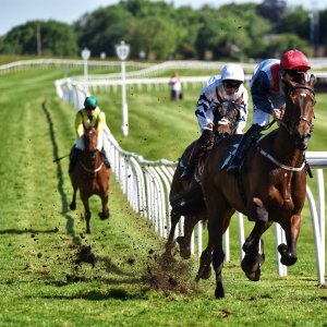Catterick | Jubille Raceday | 3/6/22