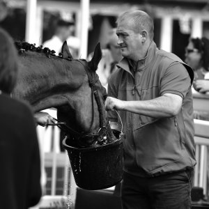 Catterick | Jubille Raceday | 3/6/22