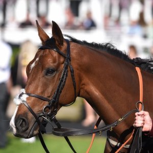 Catterick | Jubille Raceday | 3/6/22