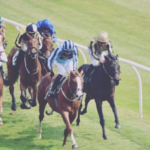 Catterick | Jubille Raceday | 3/6/22