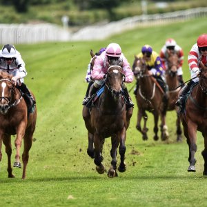 Catterick | Jubille Raceday | 3/6/22