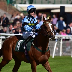 Catterick | Jubille Raceday | 3/6/22