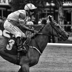 Catterick | Jubille Raceday | 3/6/22