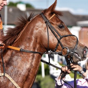 Catterick | Jubille Raceday | 3/6/22
