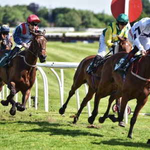 Catterick | Jubille Raceday | 3/6/22