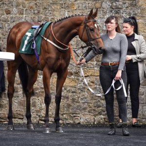 Catterick | Jubille Raceday | 3/6/22