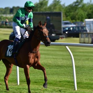 Catterick | Jubille Raceday | 3/6/22
