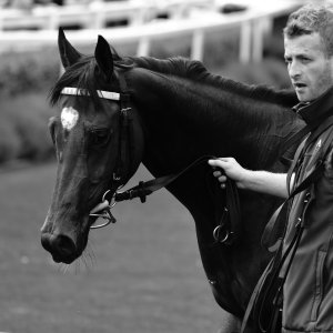 Catterick | Jubille Raceday | 3/6/22