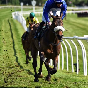 Catterick | Jubille Raceday | 3/6/22