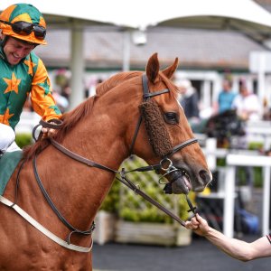 Catterick | Jubille Raceday | 3/6/22