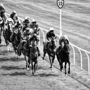 Catterick | Jubille Raceday | 3/6/22