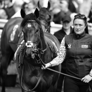 Catterick | Jubille Raceday | 3/6/22