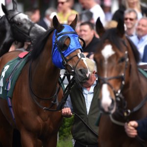 Catterick | Jubille Raceday | 3/6/22