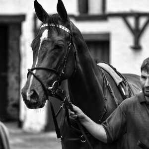 Catterick | Jubille Raceday | 3/6/22