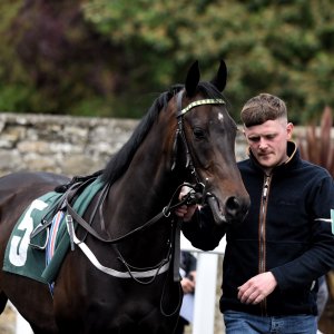 Catterick | Jubille Raceday | 3/6/22