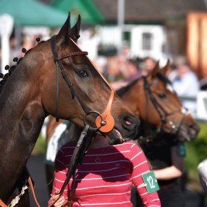 Catterick | Jubille Raceday | 3/6/22