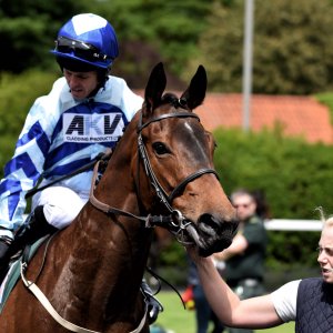 Catterick | Jubille Raceday | 3/6/22