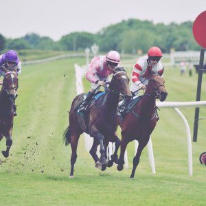 Catterick | Jubille Raceday | 3/6/22